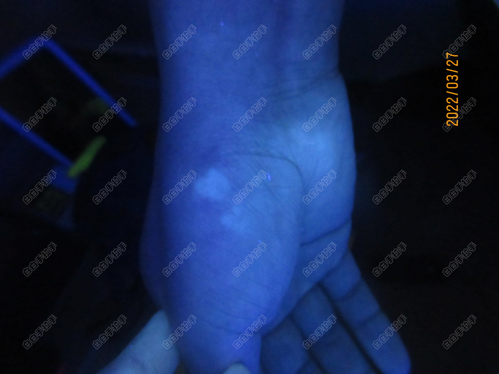 mmexport1648432070787.jpg