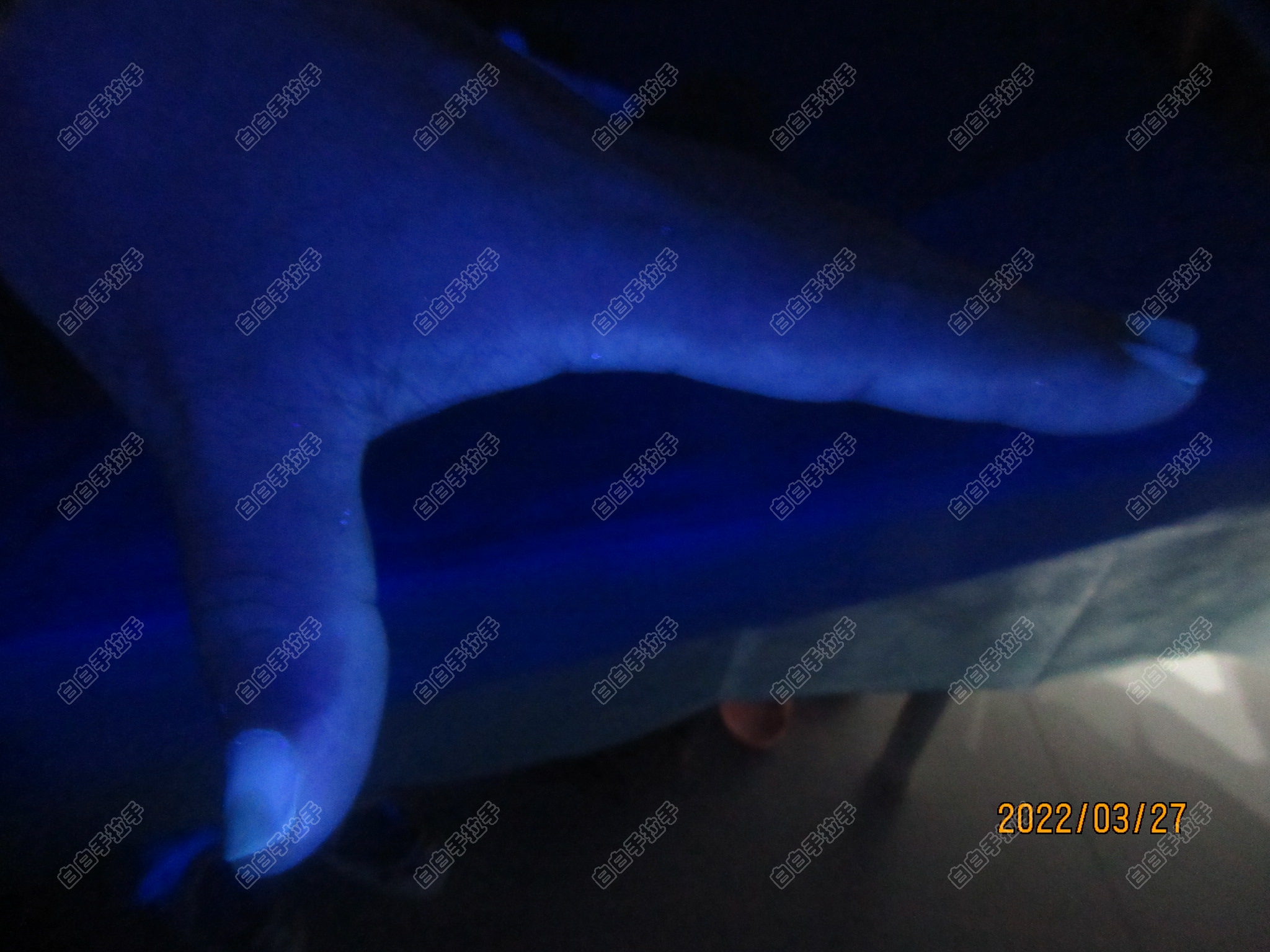 mmexport1648432073247.jpg