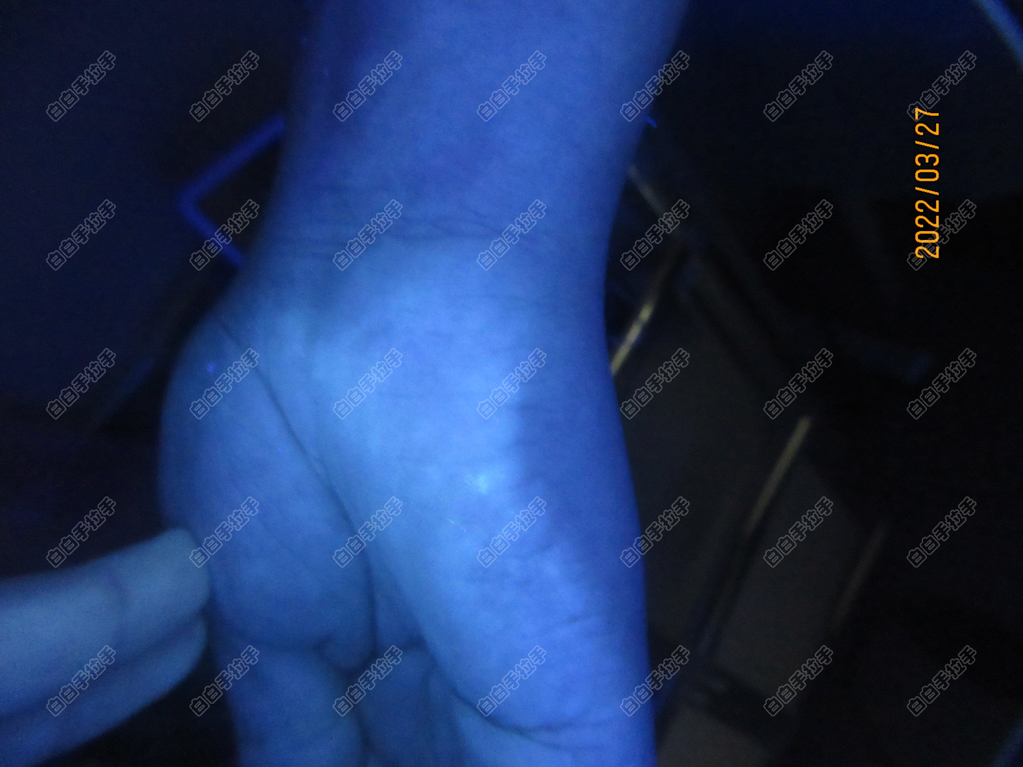 mmexport1648432068424.jpg