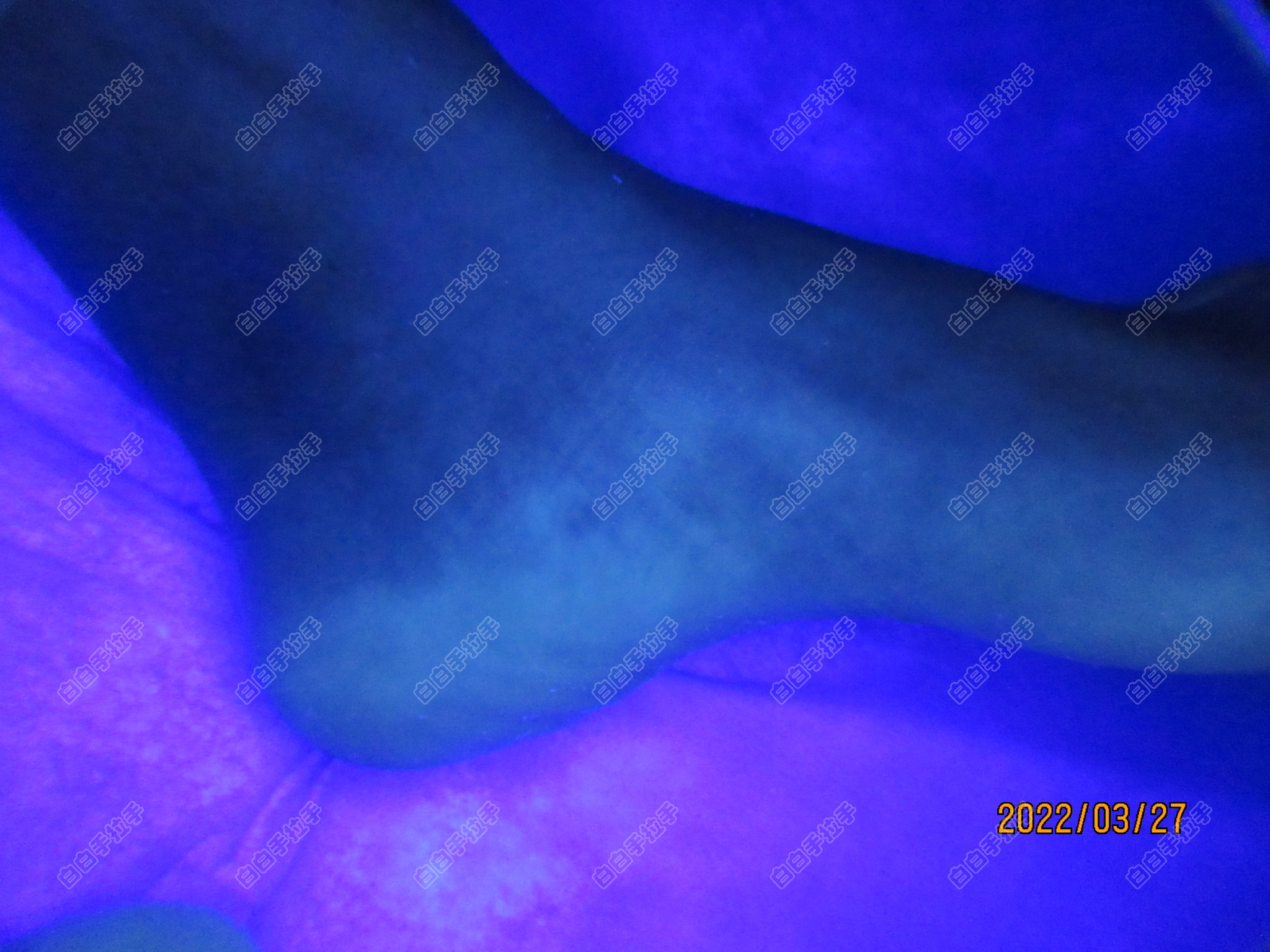 mmexport1648432100719.jpg