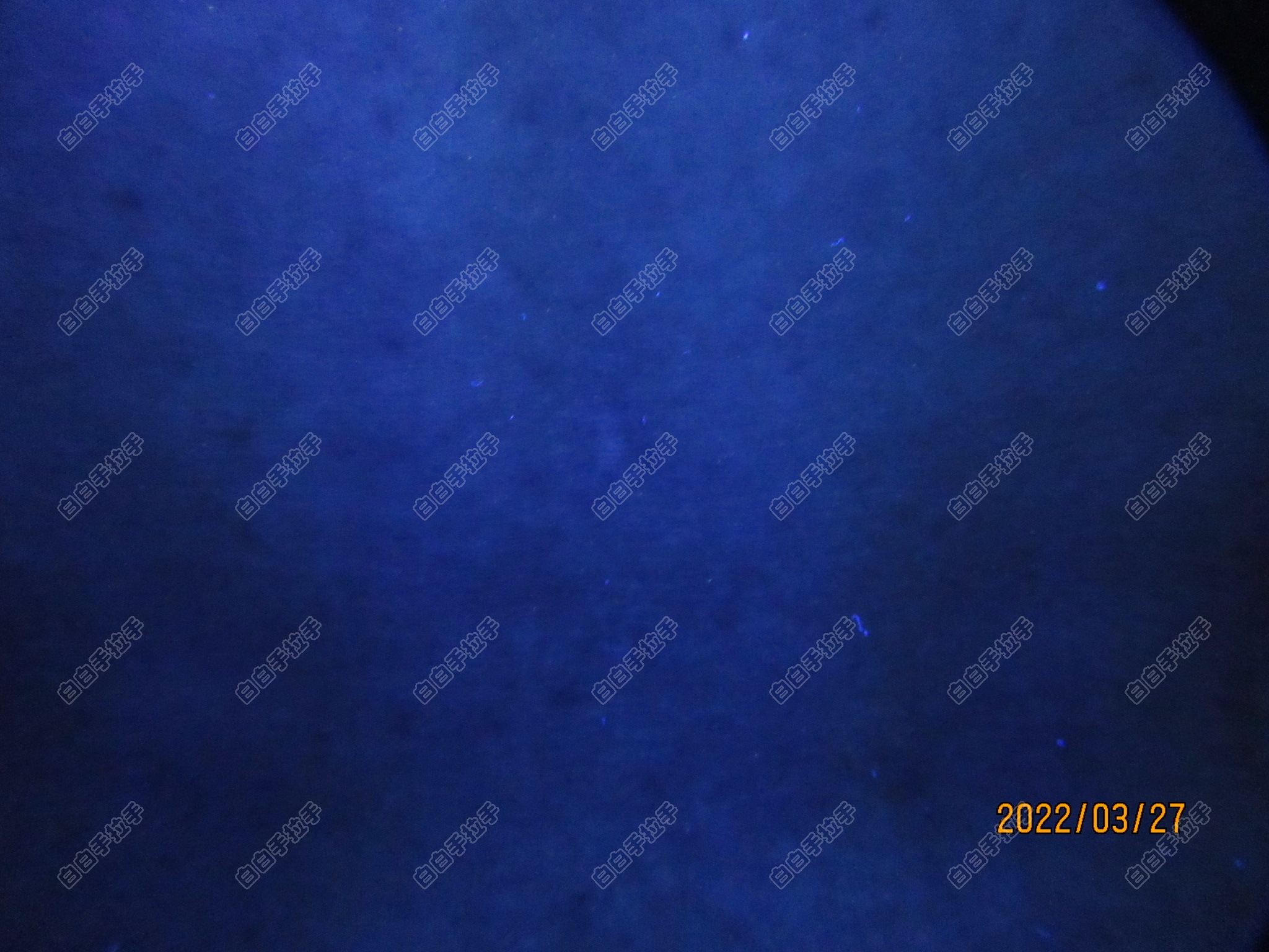 mmexport1648432093879.jpg