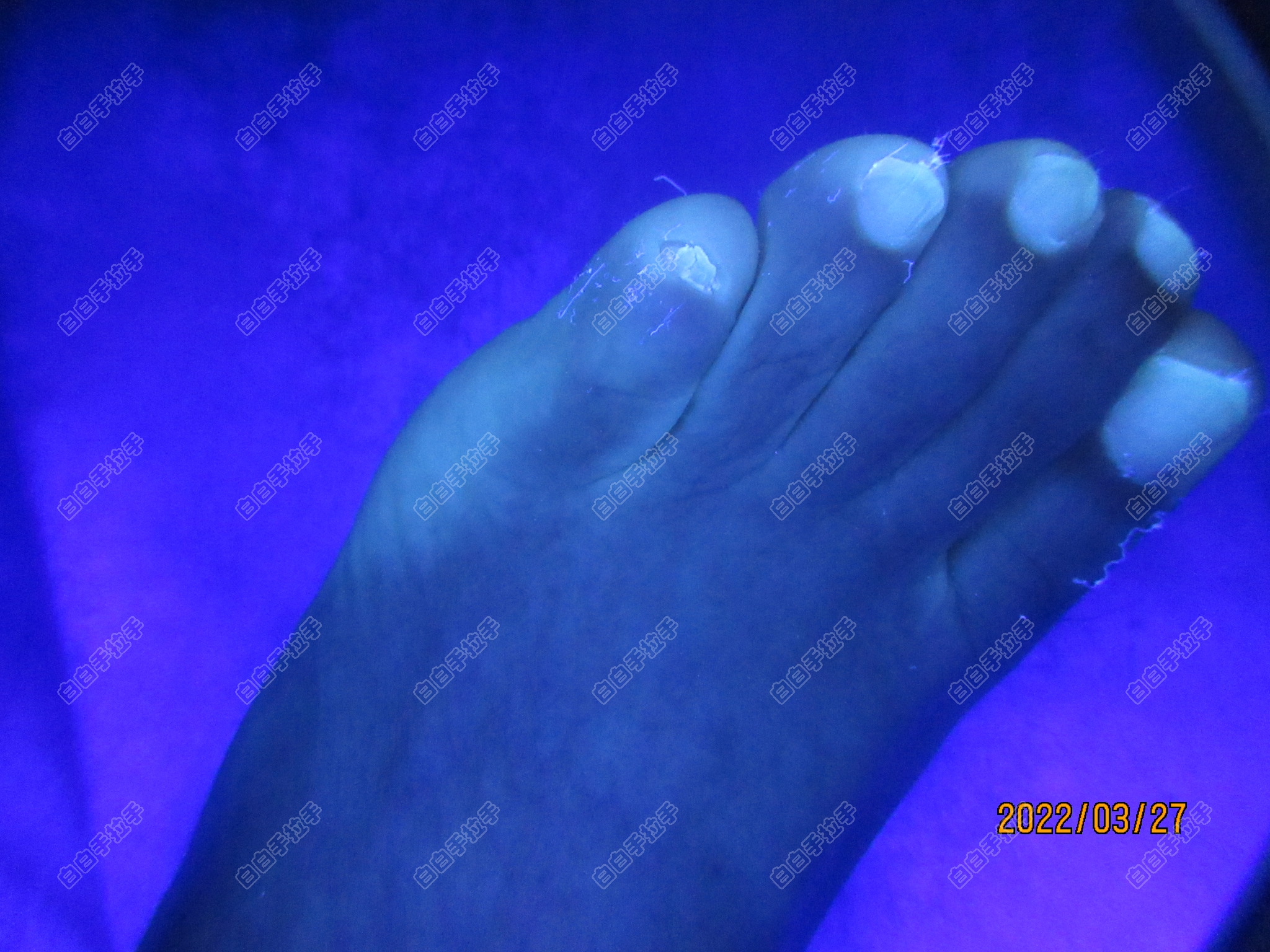 mmexport1648432105119.jpg
