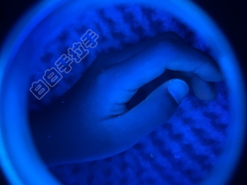 1D3ED487-00C3-40CD-B236-5839B9D2C8B2.jpeg