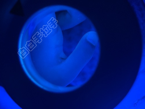 6D112113-ECA2-484F-BD05-EECC2927590F.jpeg