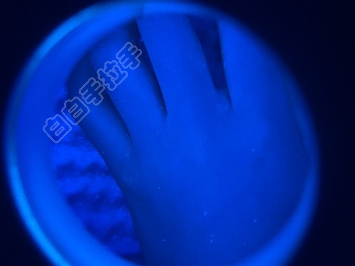 E90131BB-D517-46C9-BD1C-B9F2676B35B1.jpeg