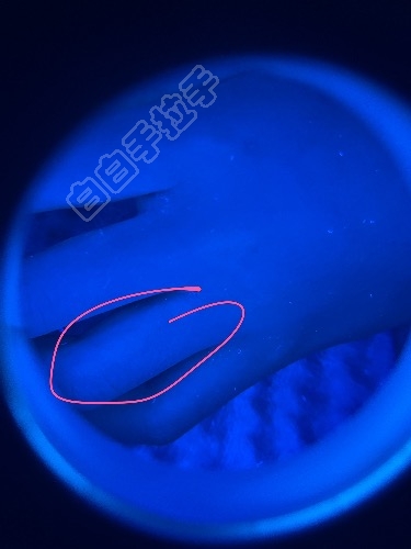 8201F127-0D12-4BF5-9F0D-2C56338EA374.jpeg