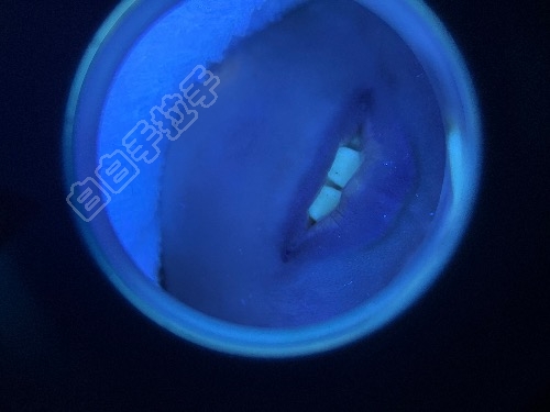 BDF2C5B0-2CD5-4AD4-92DD-EF5760D9D7A6.jpeg