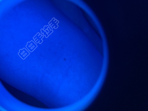 8A84E131-6E97-4C24-BB9B-6A51E25BAFB9.jpeg