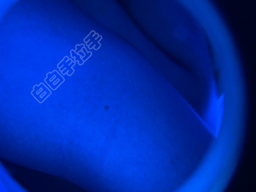 1CBD0A34-F003-43DB-AD51-183F3F516263.jpeg