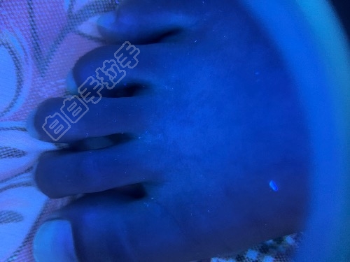 6ACCFD25-65DC-48F4-8558-4F43C0D84C71.jpeg