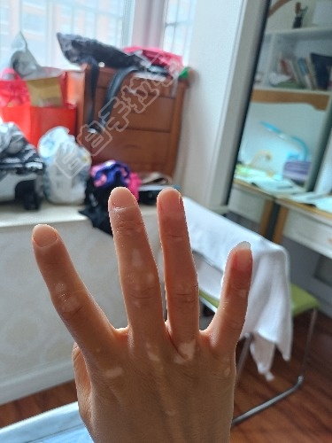IMG20240715144700.jpg