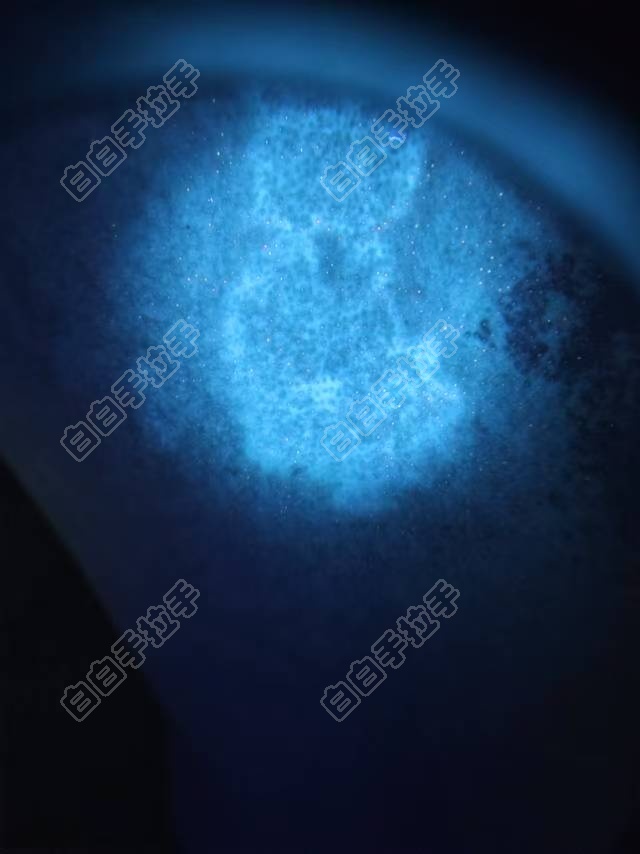 ΢ͼƬ_20250528132743.jpg
