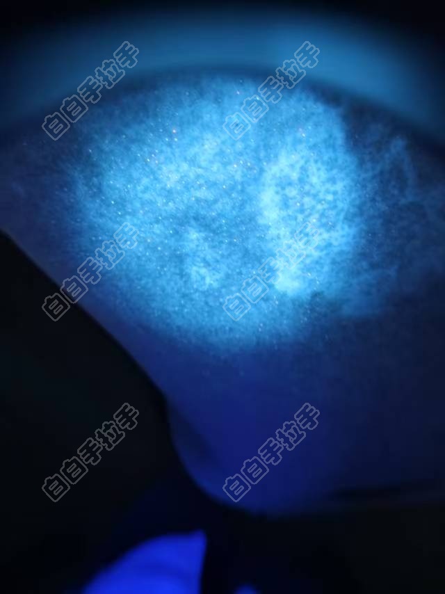 ΢ͼƬ_20250528132750.jpg