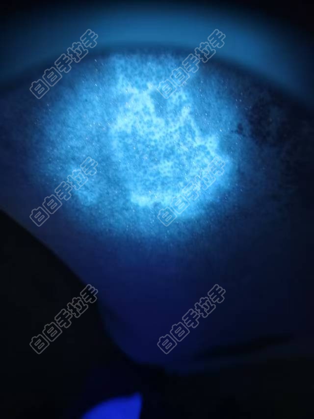 ΢ͼƬ_20250528132756.jpg
