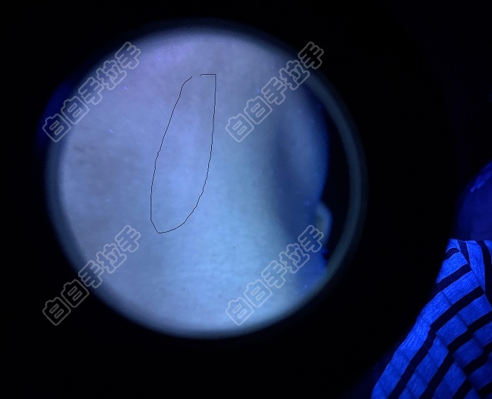 ΢Žͼ_20250623094258.png