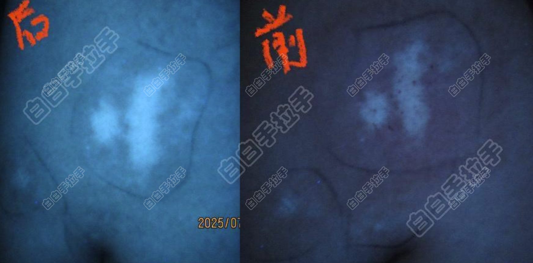 QQ20250708-111437.jpg
