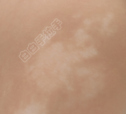 ΢��ͼƬ_2026-01-15_152821_628.png